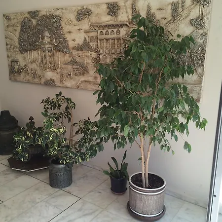 Hotel Ataer Antalya